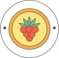 partner-logo