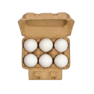 Organic Vegetable Box